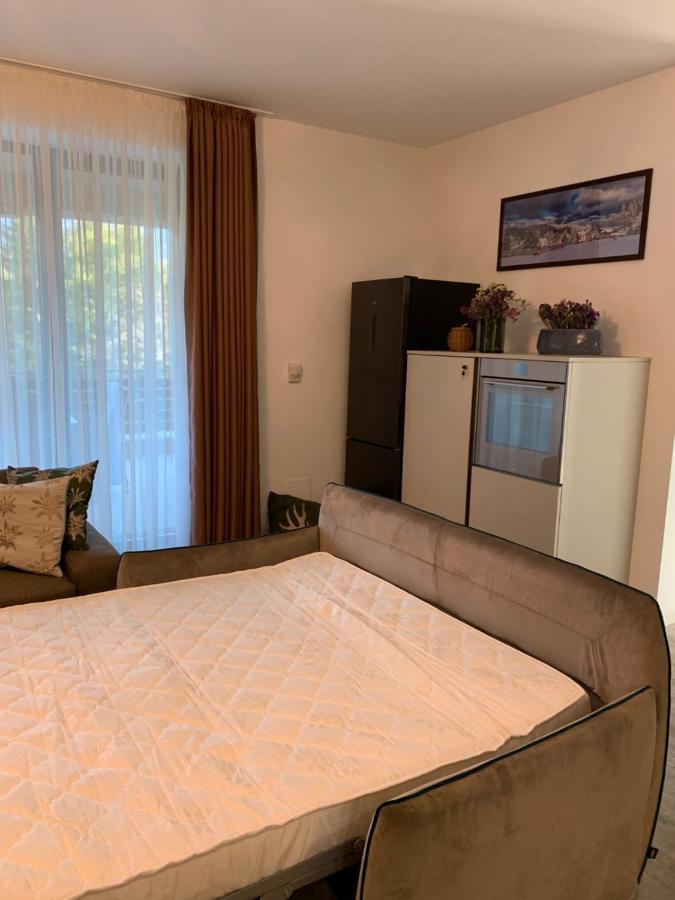 Edelweiss Apartments Silver Resort Poiana Brašov Exteriér fotografie
